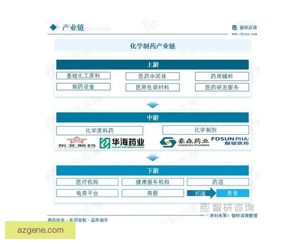 从起源到巅峰的VS厂发展历史与制表工艺全景解析演进与行业影响研究